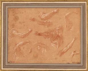 Study of God the Father with Angels