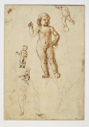Five Studies of Children
