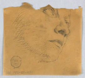 Partial Sketch of a Face