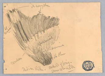 Sketch of a Wing