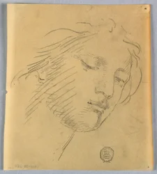 Sketch of a Woman