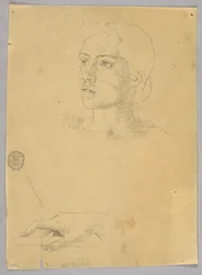 Sketch of a Woman