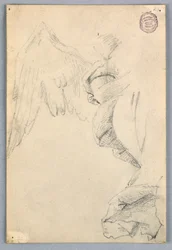 Sketch with Wings and Drapery
