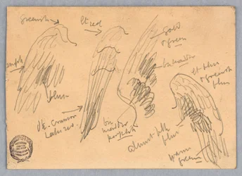 Sketches of Wings