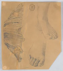Studies of Feet, and a Fluted Shell