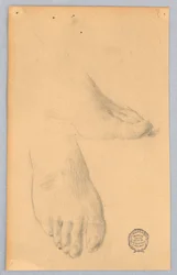 Study of Feet