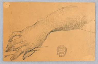 Study of Hand and Wrist