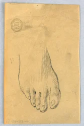 Study of Right Foot