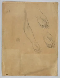 Three Studies of a Left Hand