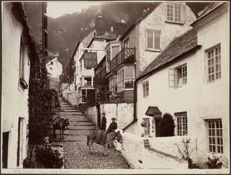 Clovelly, New Inn & Street