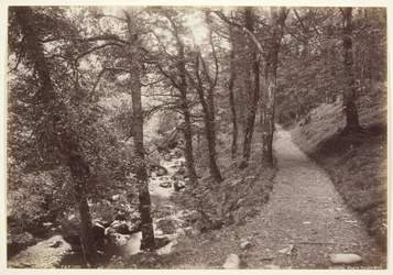 Dolgelley, View in Torrent Walk