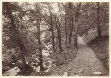 Dolgelley, View in Torrent Walk, 1860-94