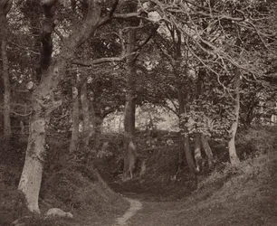 Glen Kenilworth, c. 1868