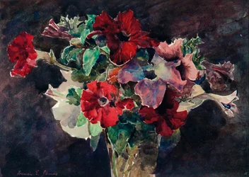 Petunias, c1869-1906, 1906