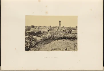 Gaza (The Old Town)
