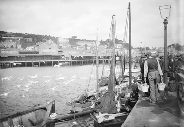 Newlyn Harbour and Fish Quay, Cornwall
