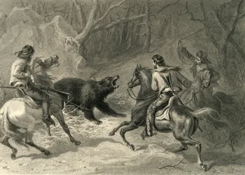 Native Californians Lassoing a Bear