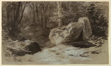 Rocks in the Woods