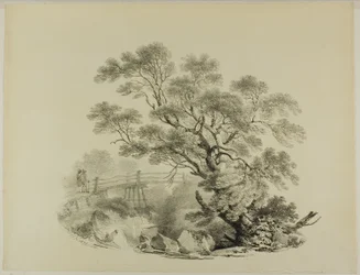 Tree and Footbridge