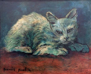The Cat