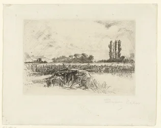 A Water Meadow