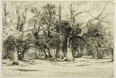 A By-Road in Tipperary