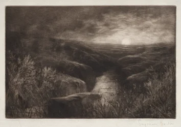 Haunt of the Mosquito