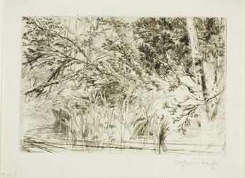 Mouth of a Brook, No. II