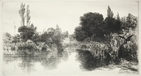 Shere Mill Pond The Larger Plate