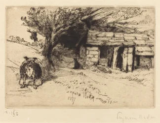 The Cabin