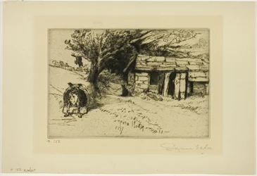 The Cabin