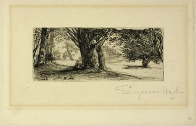 The Holly Fields