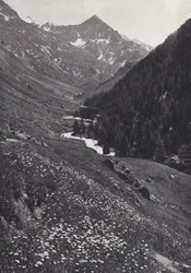 Eastern Alps: In the Windach Tal