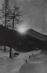 The Alps: Near Obergurgl