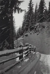 The Alps: Winter Morning, near St Anton
