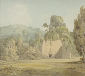 An Ivy Covered Ruin