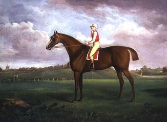 Jockey Up