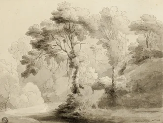 Wooded Landscape