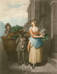 Turnips and Carrots
