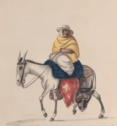 A butcher riding a donkey, from a group of drawings depicting Peruvian costume