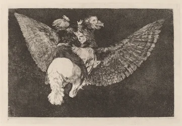 Flying Folly