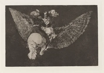 Flying Folly, from the series Los disparates (Los proverbios)