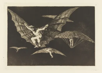 Manner of Flying, plate 13 in Proverbs