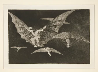 A Way of Flying, Plate 13 from the Series Los Proverbios