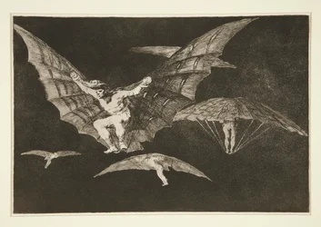 A Way of Flying, plate 13 from the series Los proverbios