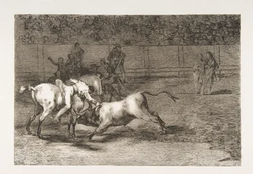 Plate 23 from the 