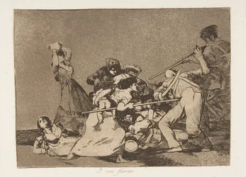 Plate 5 from 