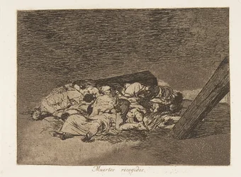 Plate 63 from 