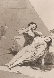 Plate 9 from 
