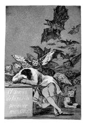 The Sleep of Reason Produces Monsters